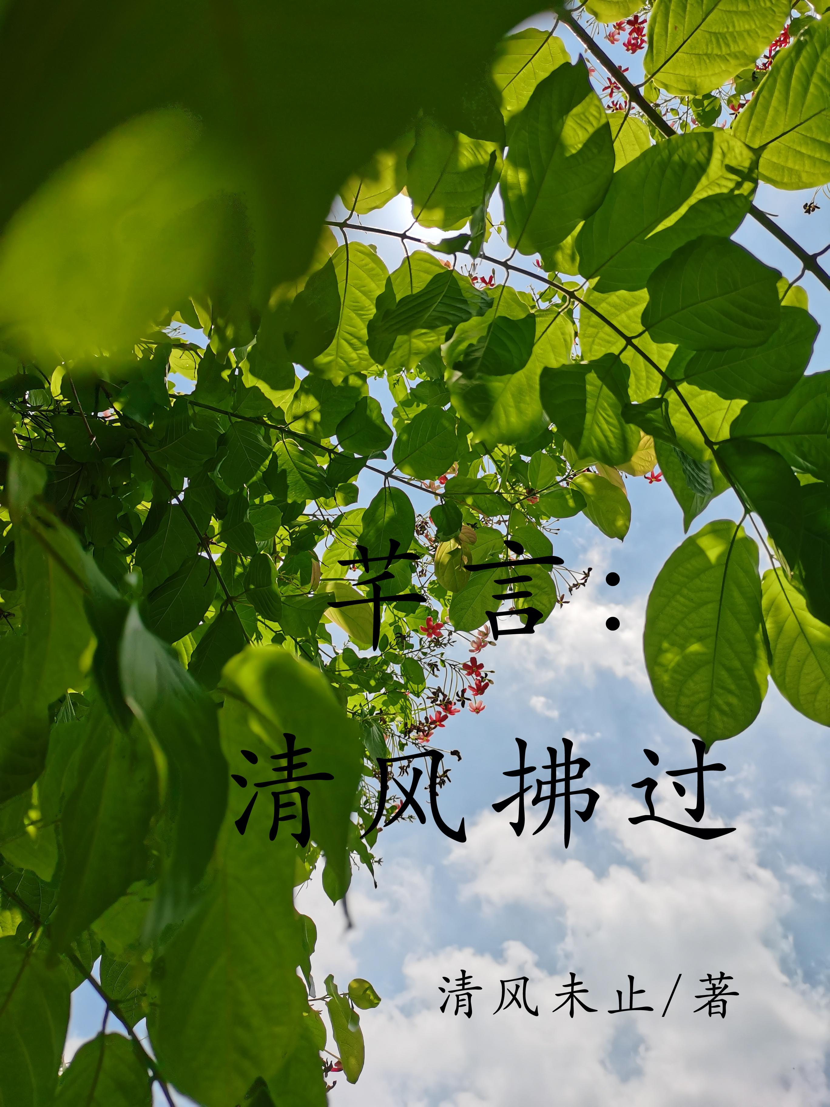 清风拂去什么