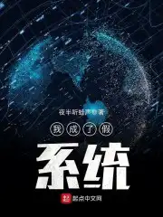 我成了假系统