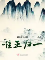 唯一住房能强制执行吗