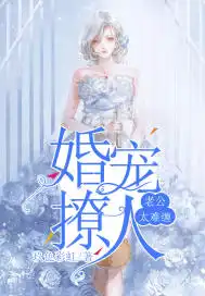 宠婚老公太黏人言晚免费